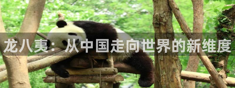 7790cnm必发集团app下载：龙八夷：从中国走向世界的新维度
