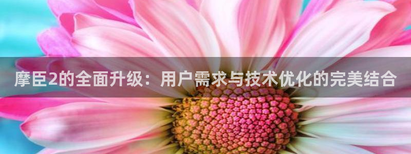 必发集团app下载安装：摩臣2的全面升级：用户需求与技术优化的完美结合