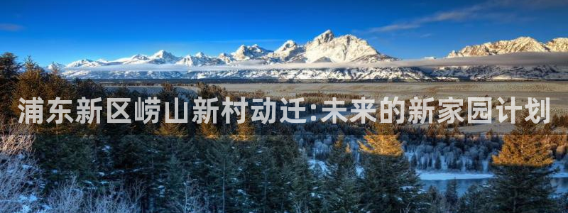 必发集团app下载安装：浦东新区崂山新村动迁:未来的新家园计划