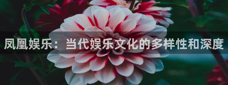 7790必发集团官网入口：凤凰娱乐：当代娱乐文化的多样性和深度