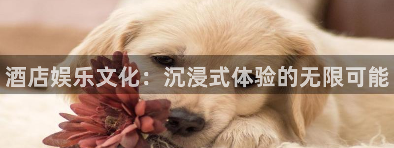 7790必发集团下载：酒店娱乐文化：沉浸式体验的无限可能