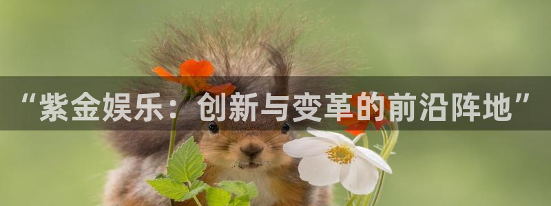 7790cnm必发集团：“紫金娱乐：创新与变革的前沿阵地”