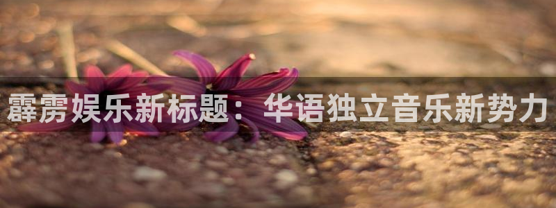 必发集团网站app：霹雳娱乐新标题：华语独立音乐新势力