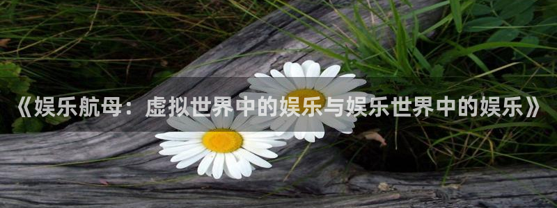 6690必发集团官网：《娱乐航母：虚拟世界中的娱乐与娱乐世界中的娱乐》