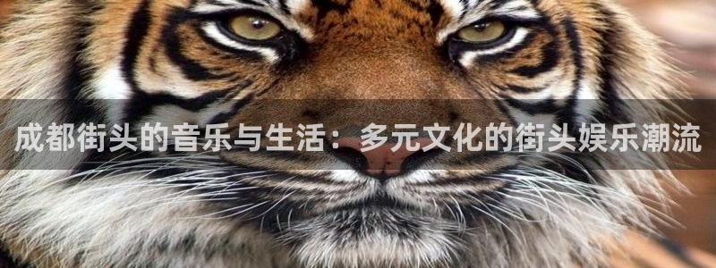 7790必发集团官网入口：成都街头的音乐与生活：多元文化的街头娱乐潮流