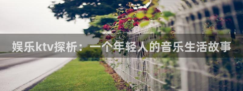 7790cnm必发集团app下载：娱乐ktv探析：一个年轻人的音乐生活故事