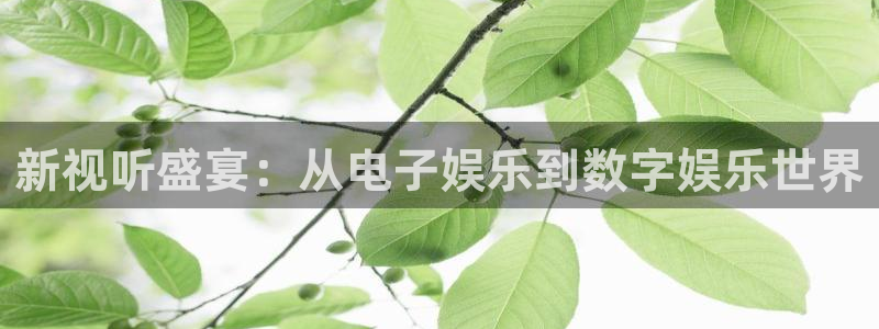 7790必发集团登录入口：新视听盛宴：从电子娱乐到数字娱乐世界