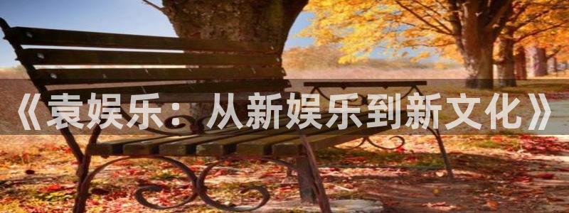 必发集团官网登录：《袁娱乐：从新娱乐到新文化》