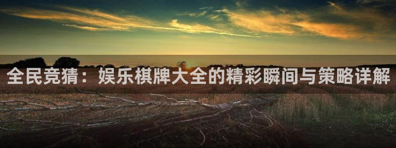 6690必发集团：全民竞猜：娱乐棋牌大全的精彩瞬间与策略详解