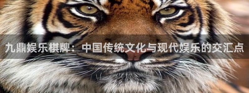 7790必发集团官网：九鼎娱乐棋牌：中国传统文化与现代娱乐的交汇点