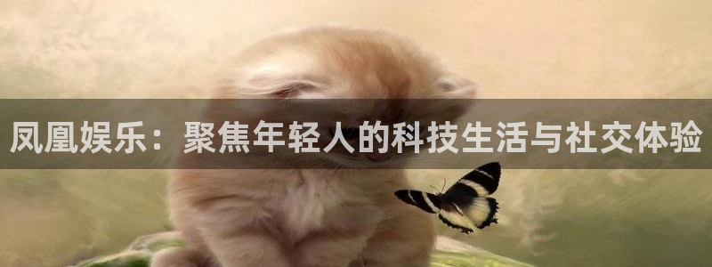 必发集团app下载安装：凤凰娱乐：聚焦年轻人的科技生活与社交体验