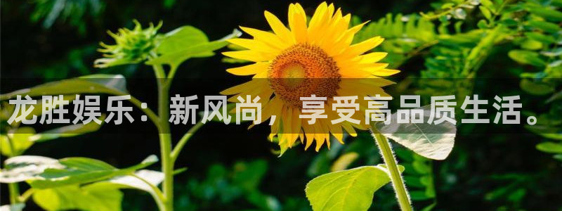 必发集团app7790下载安装：龙胜娱乐：新风尚，享受高品质生活。