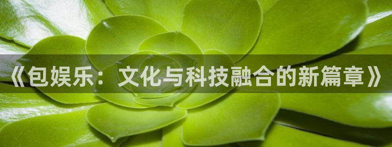 7790必发集团：《包娱乐：文化与科技融合的新篇章》