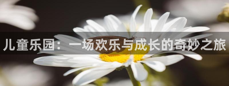 7790cnm必发集团官网：儿童乐园：一场欢乐与成长的奇妙之旅