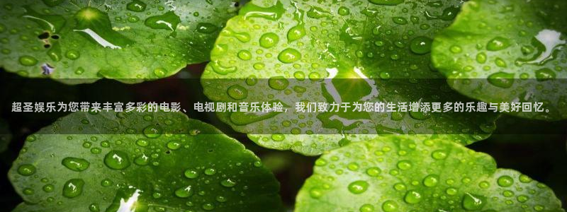 7790必发集团：超圣娱乐为您带来丰富多彩的电影、电视剧和音乐体验，我们致力于为您的生活增添更多的乐趣与美好回忆。