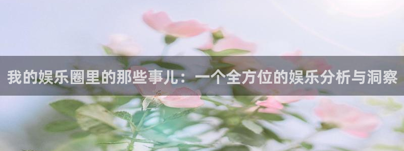必发集团网站：我的娱乐圈里的那些事儿：一个全方位的娱乐分析与洞察