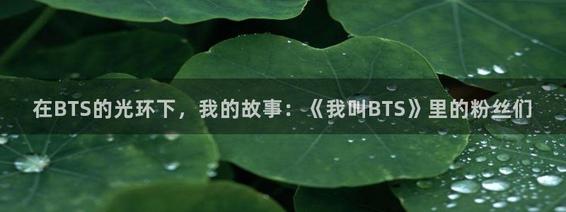 7790必发集团登录：在BTS的光环下，我的故事：《我叫BTS》里的粉丝们