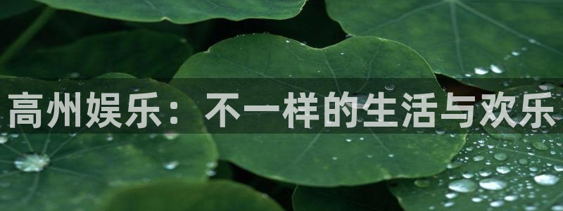 6690必发集团下载：高州娱乐：不一样的生活与欢乐