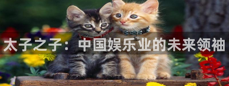 必发集团网站app：太子之子：中国娱乐业的未来领袖