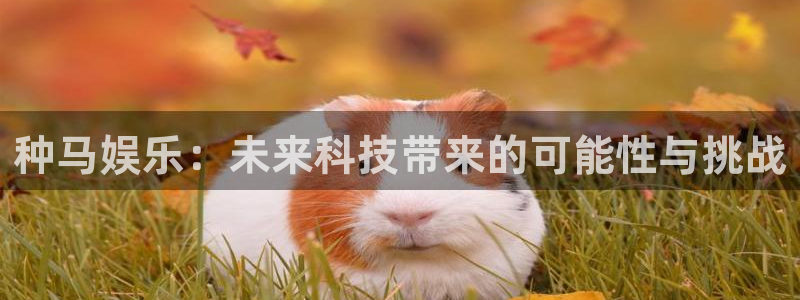 7790必发集团app：种马娱乐：未来科技带来的可能性与挑战